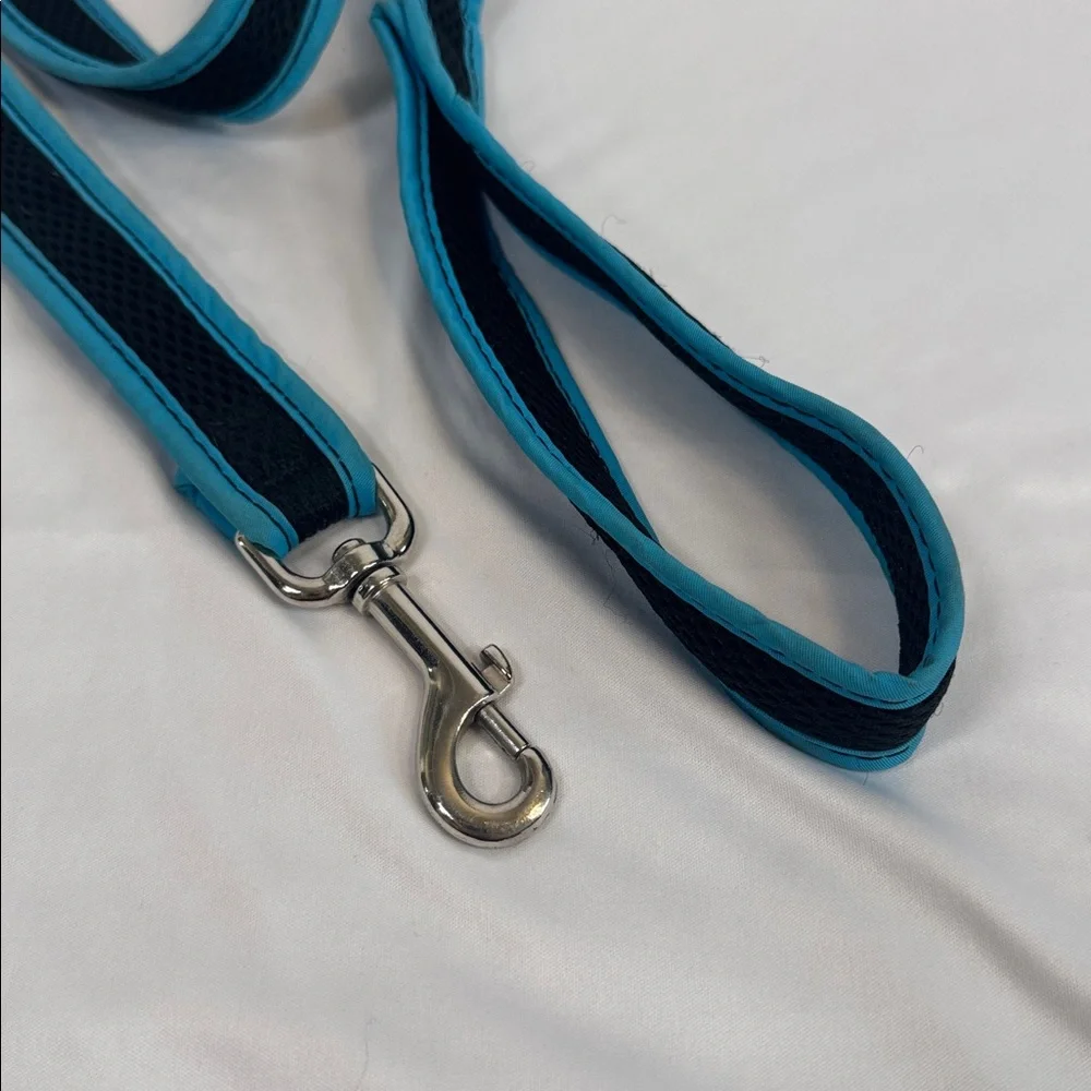 Blue and Black Dog Leash